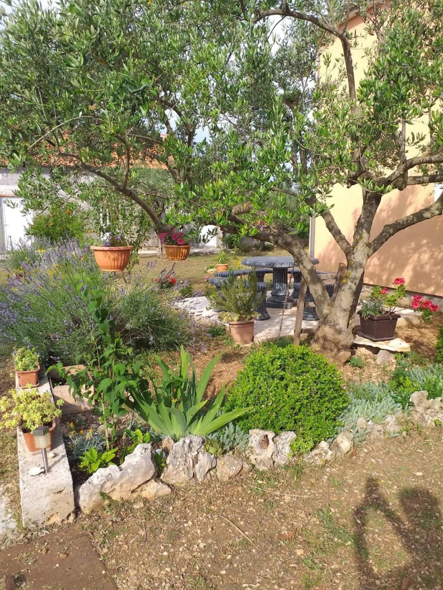 Rural Apartment Ante Drniš Екстериор снимка