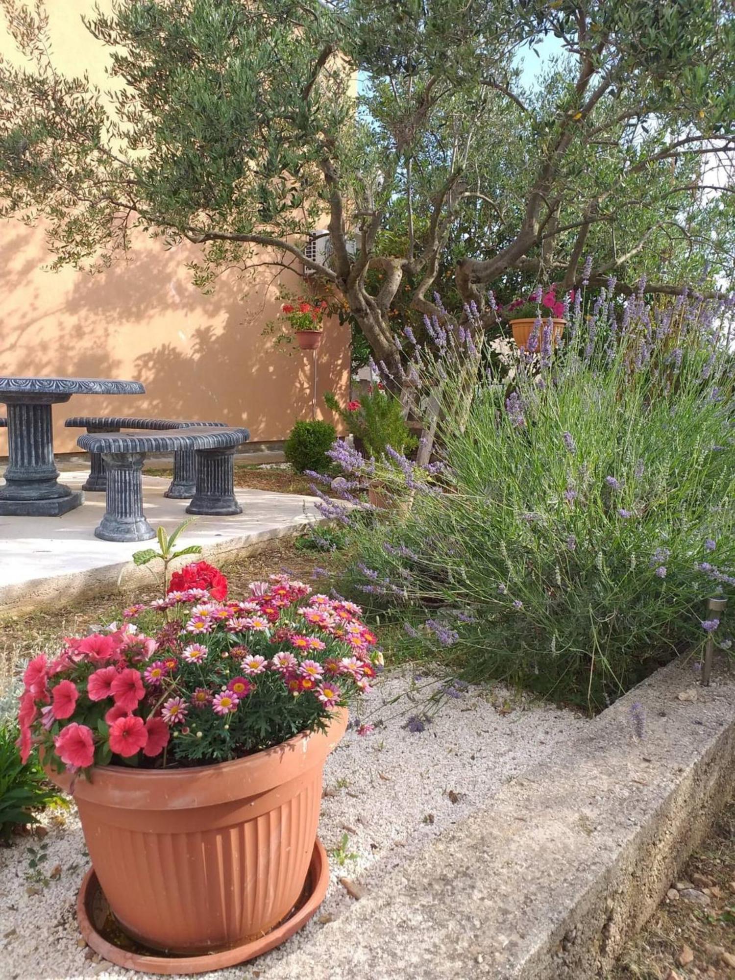Rural Apartment Ante Drniš Екстериор снимка